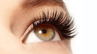 Eyelash Extensions Near Me [upl. by Eseilenna106]