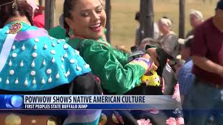 Little Shell Chippewa powwow held at First Peoples Buffalo Jump State Park [upl. by Romeon]