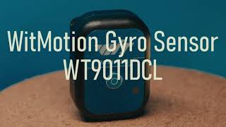 TESTED WitMotion WT9011DCL GyroSensor IMU for GyroFlow Video Stabilization [upl. by Sugar]