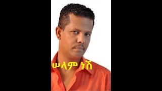 Geremew Asefa Selam Nesh Ethiopian Music [upl. by Frasquito]