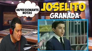 JOSELITO  Granada  Reaction [upl. by Soalokin374]