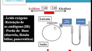 Gasometria parte 1 [upl. by Daniella570]