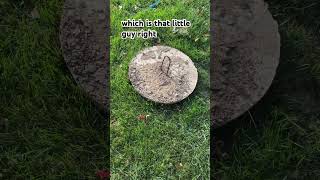 Why You Should Inspect Your Septic Access Covers Regularly [upl. by Esertal]