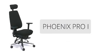 PHOENIX PRO I  Product Video [upl. by Haggai]