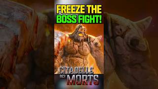 How To FREEZE the BOSS FIGHT on Citadelle Des Morts USE ASAP [upl. by Une]