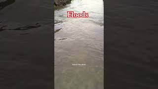 Flooded heavyflood flashflood floodwater shorts shortsfeed viralvideo [upl. by Amoeji]