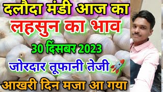 दलोदा मंडी 30 दिसंबर 2023 का लहसुन का भाव garlic rate today daloda aaj ka lahsun ka bha [upl. by Flin]