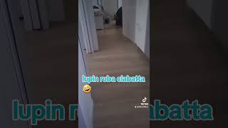 VIDEO DIVERTENTI TIKTOK DOG RISATE PAZZE 🤣 🤣 🤣 lampo lupiniii perterisate [upl. by Ettevahs724]