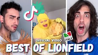 LIONFIELD VIRAL SERIES Best of Lionfield Compilation Pt3 [upl. by Niajneb804]