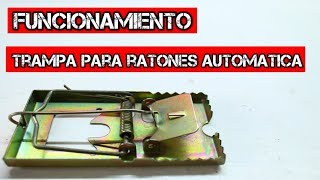 Trampa Para Ratones Funcionamiento Ratonera Review YMX review [upl. by Akvir104]