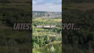 Amazing fishing spot fishing fish kayakfishing shorts vlog outdoors walleye summer outside [upl. by Boelter]