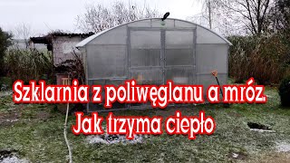 5°C Jak trzyma ciepło szklarnia z poliwęglanu 6mm Testujemy CDN [upl. by Anahsirk]