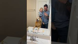 02 years in 10 seconds ❤️✨ goldenretriever toddler [upl. by Adyahs]