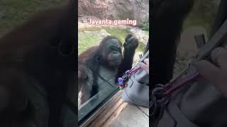 Jayanta Gaming  trending funny comedy shorts reels viralshorts trendingshorts ytshorts [upl. by Chrissy]