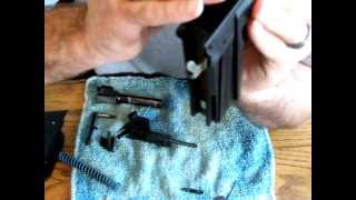 Sig Pro SP2340 SP2022 Assembly Sauer Short Trigger Disassembly Removal Installation 2 [upl. by Markson522]