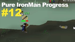 Slayer and Dks With 13 Def  Ironman Pure 12 [upl. by Georg]