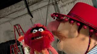 Habanera  Muppet Music Video  The Muppets [upl. by Elayne69]