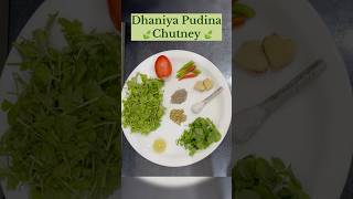 Dhaniya Pudina Chutney 🍃 Coriander chutney  mint chutney  easy recipe harichutney [upl. by Shoshanna]