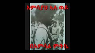 Yeshebelu By Amsal Mitkie የሸበሉ በአምሳል ምትኬ Belay Zeleke [upl. by Hoye827]