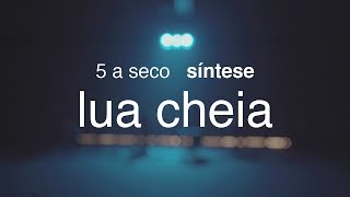 5 a seco  síntese  lua cheia OFICIAL [upl. by Eisseb]