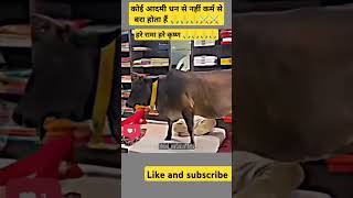 ➡️हरे रामा हरे कृष्ण song short viral videos trending video 🙏🙏🙏⚔️ [upl. by Efeek]