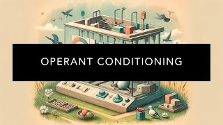 Understanding Operant Conditioning [upl. by Hwu120]