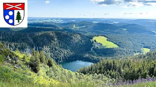 Black Forest Feldberg 1493 m  Feldbergsteig Feldsee circular hike 12 km [upl. by Schurman]