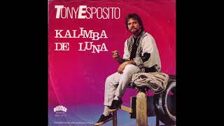 Tony Esposito  Kalimba De Luna 1984 [upl. by Yhcir]