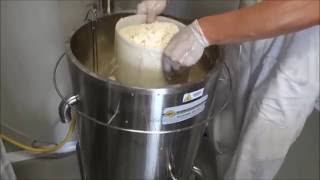 HARD CHEESE MAKING AT HOME WITH MINI PASTEURIZER [upl. by Enidanreb]