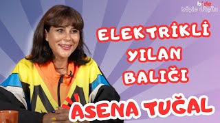 ELEKTRİKLİ YILAN BALIĞI  Bi de Böyle Düşün  Asena Tuğal [upl. by Enelime515]