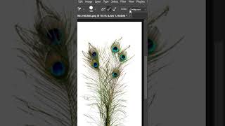 Easy Way to Make Flawless Feather Selection in Photoshop shorts [upl. by Aitital]