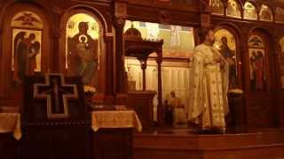 Archimandrite Christopher Calin sermon on Luke 71116 [upl. by Healey181]