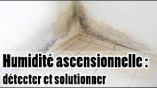 comment traiter les murs contre lhumidité [upl. by Neale]