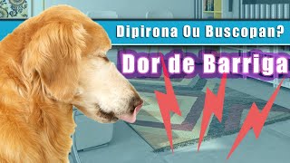 Cachorro com DOR DE BARRIGA DIPIRONA ou BUSCOPAN [upl. by Jaenicke]