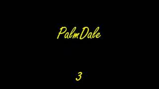 PalmDale 3 Trailer OLD [upl. by Eiuqnom]