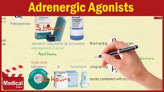 Pharmacology ANS 3  Adrenergic Receptors and Agonists [upl. by Rothschild]