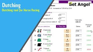 Free Dutching Calculator  Horse Racing [upl. by Rotow422]