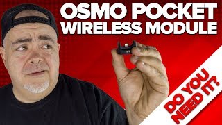 DJI OSMO Pocket Wireless Module  Do you need it [upl. by Hsizan]