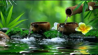 Relaxing Sleep Music with Bamboo Water Fountain  Reduce Stress Anxiety amp Depression 12 [upl. by Nylsaj]