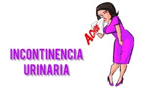 Incontinencia urinaria Ejercicios de Kegel [upl. by Nazarius918]