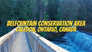 Exploring Belfountain Conservation Area in Caledon Ontario Canada [upl. by Okika]