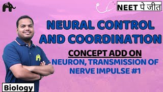 Neural Control and Coordination Class 11 Biology NEET  NCERT Chapter 18  Neuron Nerve impulses 1 [upl. by Robers]