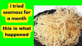 I TOOK SEA MOSS EVERY DAY FOR A MONTH – HERES WHAT HAPPENED [upl. by Hamford]