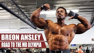 Breon Ansley  Road to the Mr Olympia 2016  Classic Physique Division  Breon Ansley [upl. by Eetsirhc]