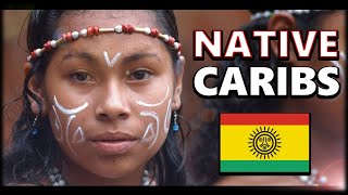 What on Earth Happened to the Taino Indigenous People of the Caribbean [upl. by Nollid]