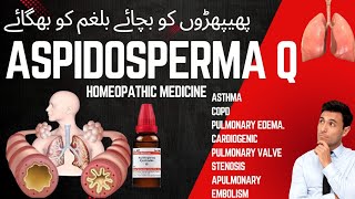 Aspidospermapulmonary cardio disease بلغمی کھانسی جس میں بلغم چپچپا ہو homeopathic medicine [upl. by Elleinnad]