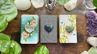 THEIR current energy and feelings⚡️🤯💌🌏🦢🐼 Pick a Card Reading 🐼🦢🌏💌🤯⚡️ [upl. by Davine]