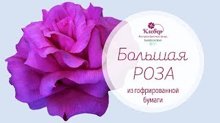 Большая роза из гофрированной бумаги [upl. by Voltz]