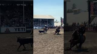 The dynamic duo of our Team Roping Champions cowboy horse rodeo [upl. by Assin]