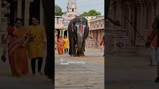 Srirangam Andal music song tamil bgm tamilsong [upl. by Atinomar]